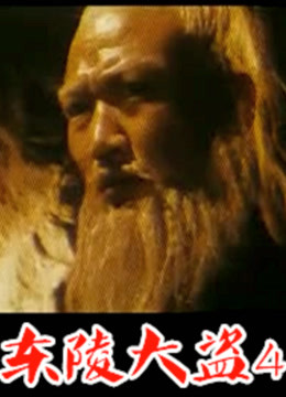 东陵大盗(四)
