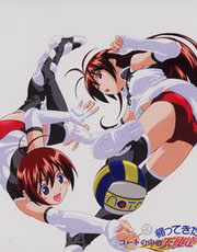 排球场上的天使(归来篇)